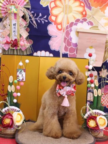 20240117ラブちゃん